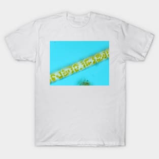 Melosira diatoms under the microscope T-Shirt